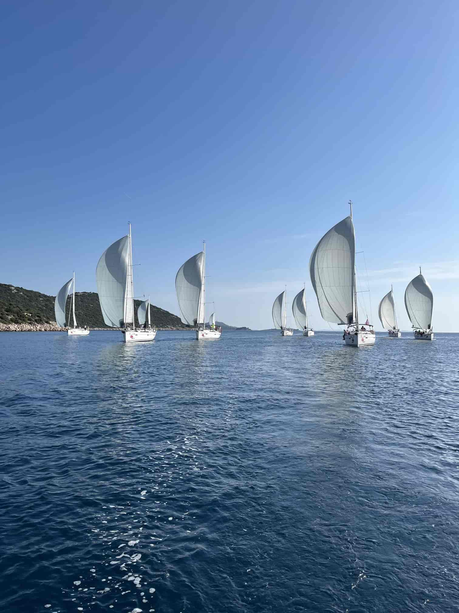 Sailing Regatta