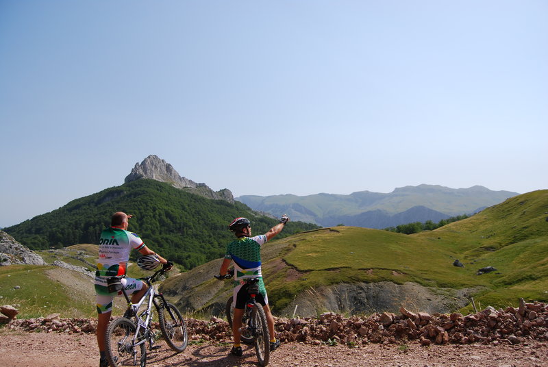 Velika Planina