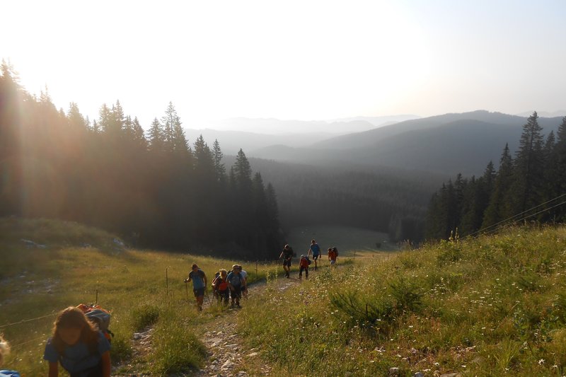 Preživetje v naravi tabor