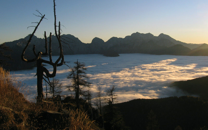 Hiking tours - World of the Kamnik – Savinja Alps