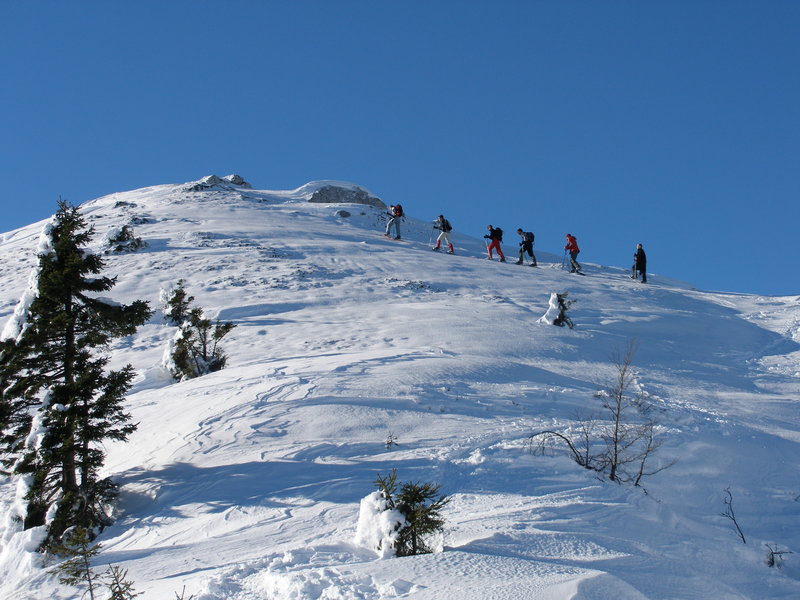 Snowshoeing Trip Slovenia