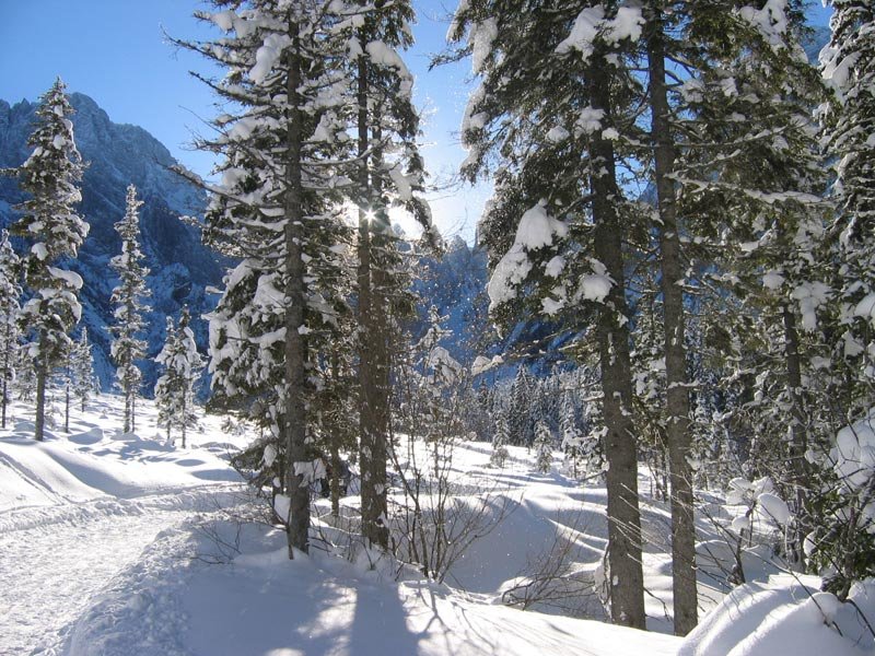 Logarska Dolina winter activities
